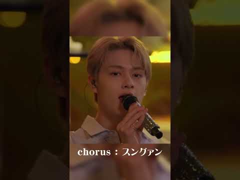 我らがメボのコーラス聴いてください【SEVENTEEN/セブチ】ドギョム、スングァン