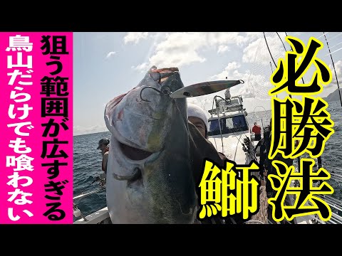 大鳥山発生！！！ボトムから表層までイワシだらけ！！！【丹後ジギング】