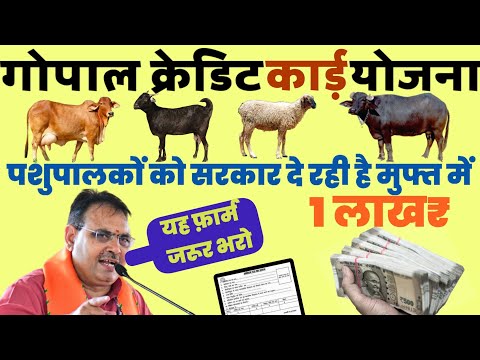 गोपाल क्रेडिट कार्ड योजना में आवेदन कैसे करें || Government Transfer 1Lac Rupees For Every Farmers