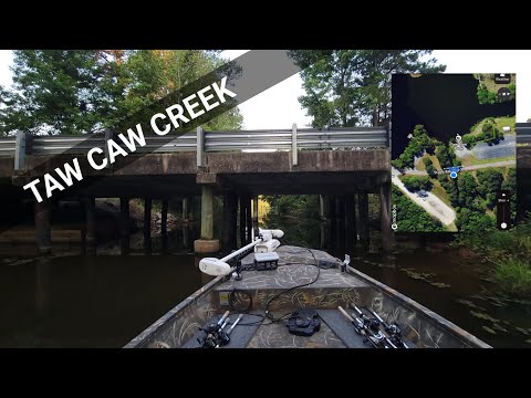 Santee Cooper Lake Tour #4 | Taw Caw Creek | John C Land Boat Landing #lakes #southcarolina