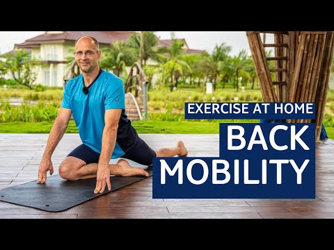 Back Exercises Home Routine: Boost Your Mobility