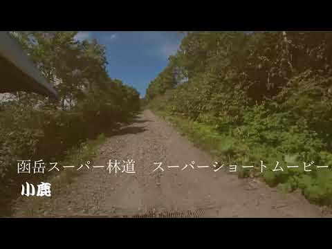 函岳スーパー林道 スーパーショートムービー 小鹿