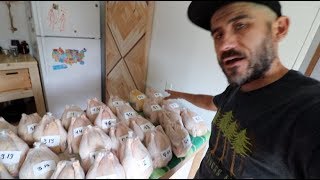 Raising 115 lbs  of Pastured Poultry for our FAMILY