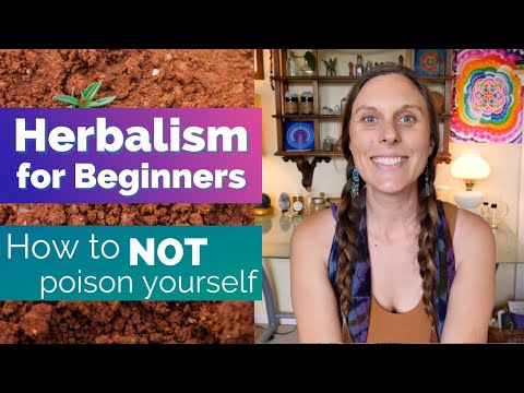 Herbalism for Beginners: How to NOT poison yourself