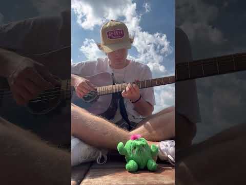 Brazil - Declan Mcknenna #declanmckenna #guitar #cover #acoustic #fingerstyle #fyp #viral