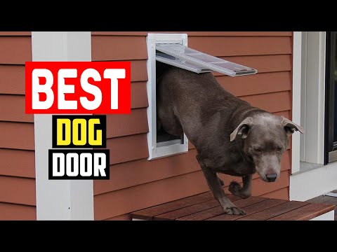 ✅Best dog door in 2023