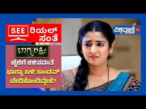 Bhagyalakshmi Serial | ಜೈಲಿಗೆ ಕಳಿಸದಂತೆ ಭಾಗ್ಯಾ ಬಳಿ ತಾಂಡವ್ ಬೇಡಿಕೊಂಡಿದ್ದೇಕೆ?| Vishwavani TV Special