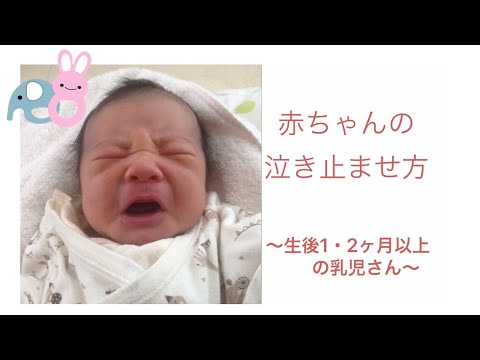 赤ちゃんの泣き止ませ方②～生後１～２か月の乳児さん～