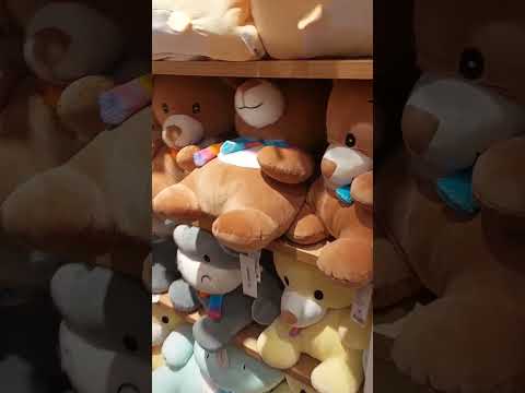 miniso soft toy haul 😍 #miniso #minisohaul #softtoy #toys #minisotoy #viral #shorts #youtubeshorts 💫