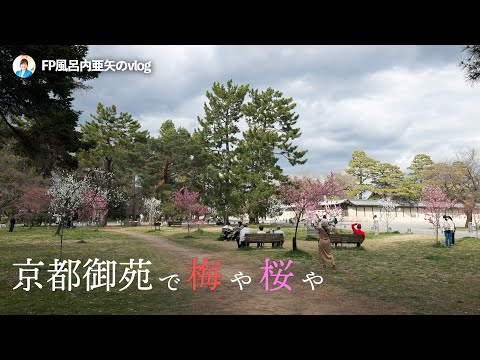 京都御苑で梅や桜や／志津屋さんのパンが美味しすぎる[HDR]