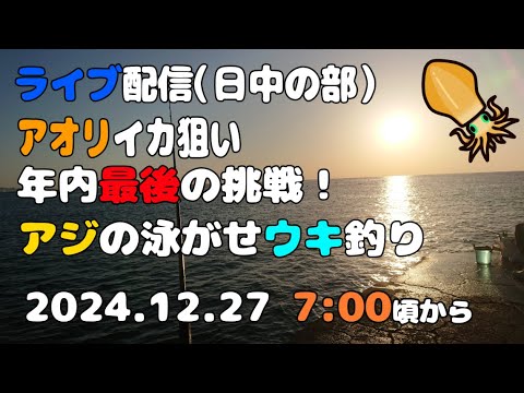 【アオリイカ】アジの泳がせ ウキ釣り ライブ配信【日中の部】（20241227）