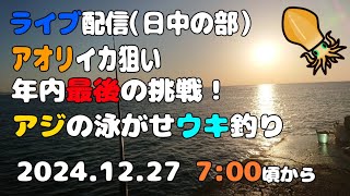 【アオリイカ】アジの泳がせ ウキ釣り ライブ配信【日中の部】（20241227）