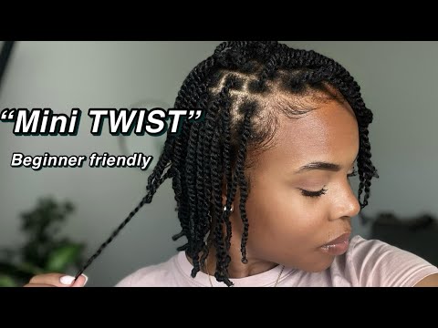 My Simple Mini Twist routine |Two-Strand Twist | Natural Hair | protective styles