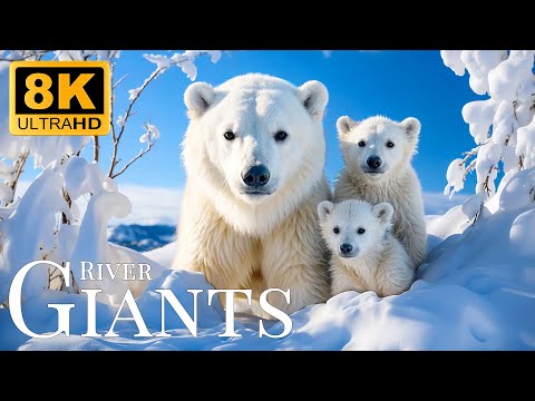 Wilderness Adventure 8K ULTRA HD🐾Nature’s Journey With Soft Music