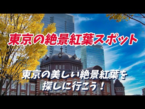 【東京の絶景紅葉スポット8選】絶景紅葉を見に行こう！きっと素晴らしい紅葉が見つかります！ 2024年の紅葉状況は❓