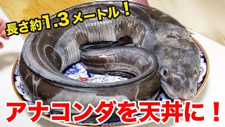 怪物！横浜の巨大アナコンダで特大天丼を作る