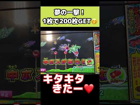 #Shorts 【ワニッコパンチパーティー】大興奮。一撃200枚！！これがあるからやめられない！　#ゲームセンター　#メダルゲーム　#ゲーム　#ワニッコパンチパーティー