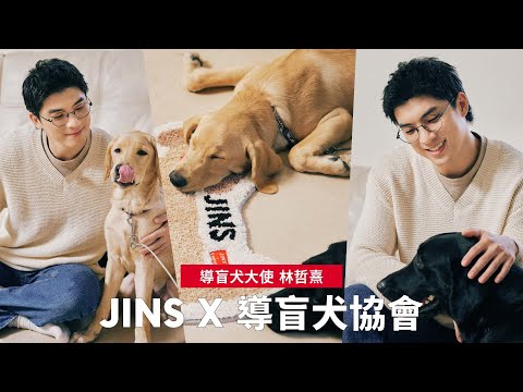 JINS 導盲犬宣傳大使 林哲熹 化身一日暖男導盲犬訓練師｜JINS x 台灣導盲犬協會 限量聯名毛孩地毯公益販售中