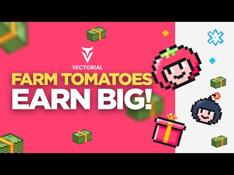 Farm Tomatoes, Earn MONEY