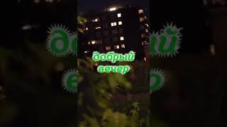 Добрый вечер #сдобрымвечером