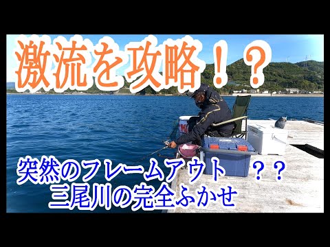 【かかり釣り】【筏チヌ】和歌山由良三尾川での完全ふかせ攻略？フレームアウト後、突然の激痛。何かが違う。