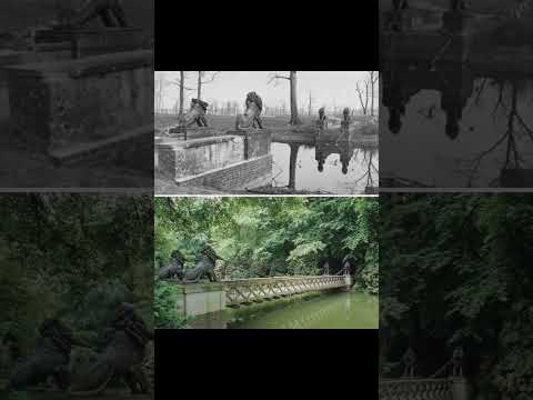 Tiergarten, Berlin (1945 & 2021 #shortsfeed #shortvideo #shorts #short #viral #trending #remix #uk