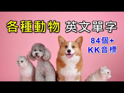 動物英文單字+KK音標，84個最常見的動物單字大集合，相同情境英文單字一起學，快速擴充單字量。