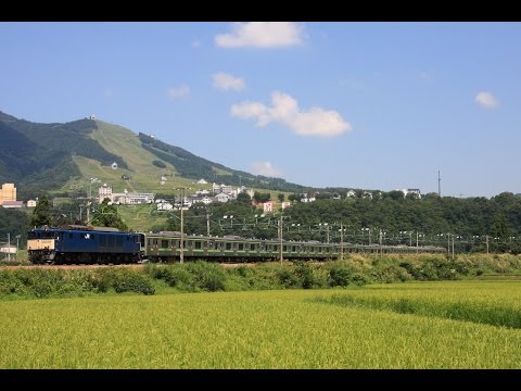 配9793レ　EF64 1032+205系H18編成　新津配給 20140822