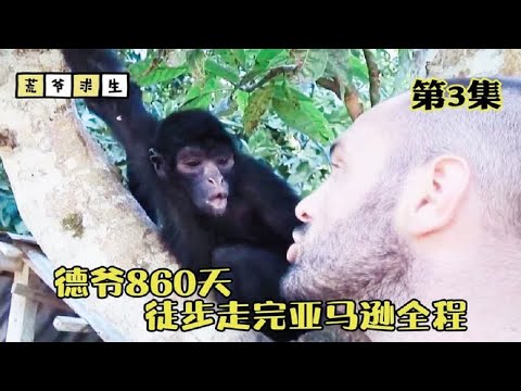 【荒岛求生】烤食人鱼，吃凯门鳄，走了500天的德爷在亚马逊遭遇危机