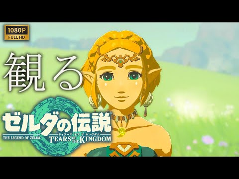 【観るゲーム】ゼルダの伝説 Tears Of The Kingdom 本編/日本語音声・日本語字幕