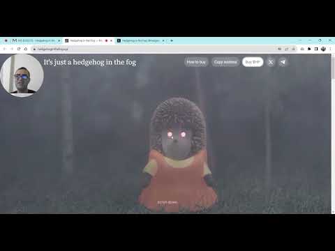 What is Hedgehog in the Fog Meme Coin? How to Buy It?