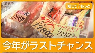 タラバの半値と話題のイバラガニ　味も見た目も「遜色なし」　なぜ安い？【知ってもっと】【グッド！モーニング】(2024年12月26日)