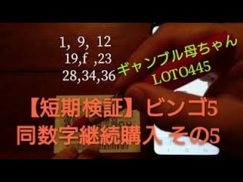 【短期検証】ビンゴ5 同数字、継続購入 その5