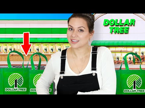 I Bought UNREAL Dollar Tree Finds YOU Need TO Buy!