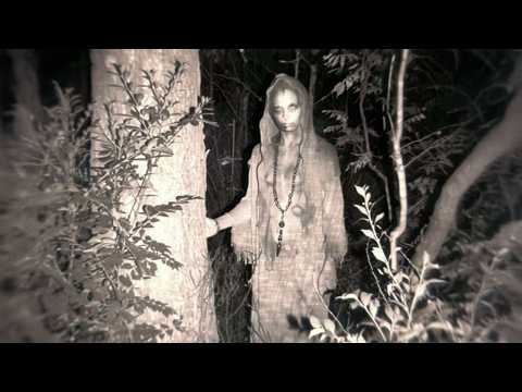 Eerie Trail Camera Footage That Proves We’re Not Alone