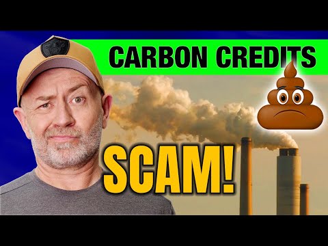 Carbon credits are a complete scam | Auto Expert John Cadogan