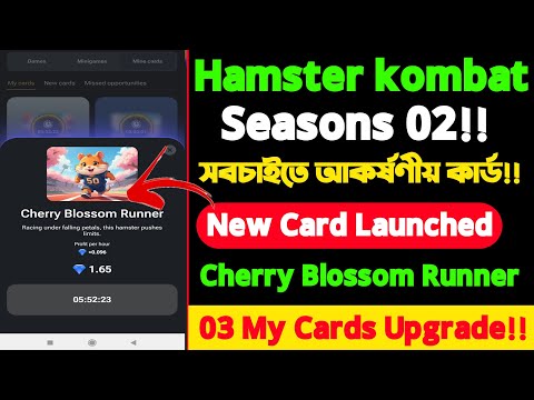 Hamster Combat season 2! Hamster kombat launce new cards Cherry Blossom Runner & upgrade 3 my cards!