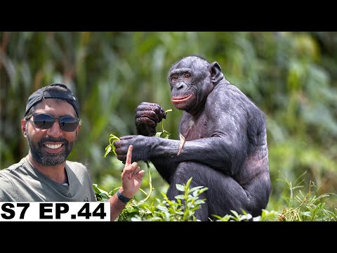 370$ For Two Chimpanzees in Gombe National Park Tanzania S7 EP.44 | Pakistan to South Africa