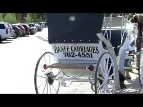 carriage ride in banff Canada with female  driver