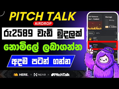 Pitch talk airdrop sinhala| Pitch Talk Partnership with Hot Wallet