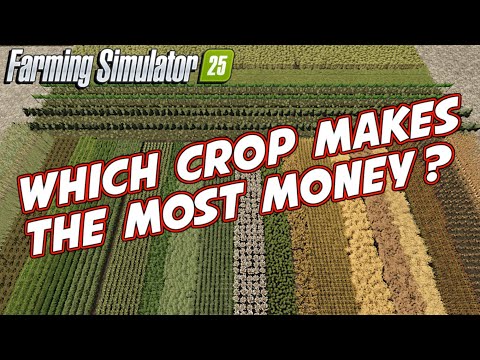 The Most Profitable Crop Per Acre For Farming Simulator 25