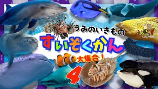 水族館へ行こう！4【子供向け 海のいきものアニメ】海の生き物 お魚さんたちが大集合！ジンベエザメ カクレクマノミ シャチ マンタ など人気の16種類の名前を覚えよう【知育動画】sea animals