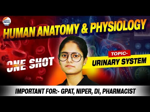 URINARY SYSTEM | ONE SHOT | COMPLTE CONCEPT | HAP | Important for GPAT, Pharmacist, DI & NIPER