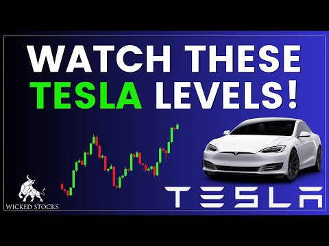 Tesla Stock Price Analysis | Top Levels To Watch for December 4th, 2024