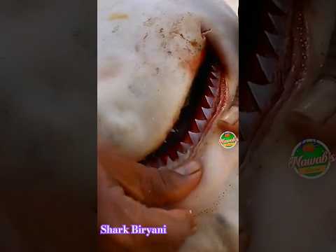 SHARK BIRYANI.. First Ever Shark Biryani in Youtube, Baby shark Biryani for Needy. YUMMY SHARK