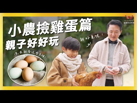 【親子好好玩】🥚蛋蛋的快樂～一日雞農小體驗