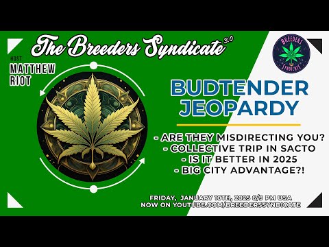 BUDTENDERS & COLLECTIVES - IS IT BETTER IN 2025? #cookies #sherb #zkittlez #gelato #jeeter #oreoz