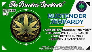 BUDTENDERS & COLLECTIVES - IS IT BETTER IN 2025? #cookies #sherb #zkittlez #gelato #jeeter #oreoz