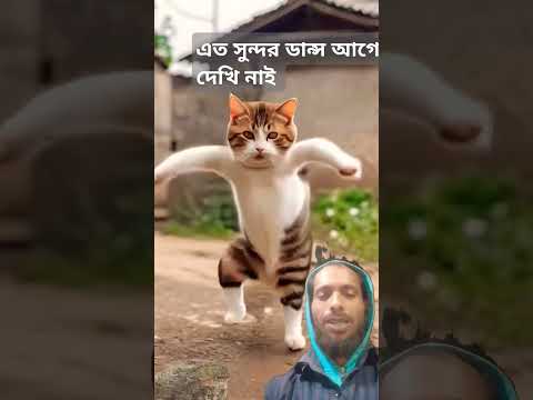 এত সুন্দর ডান্স আগে দেখি নাই কে #comedy #video