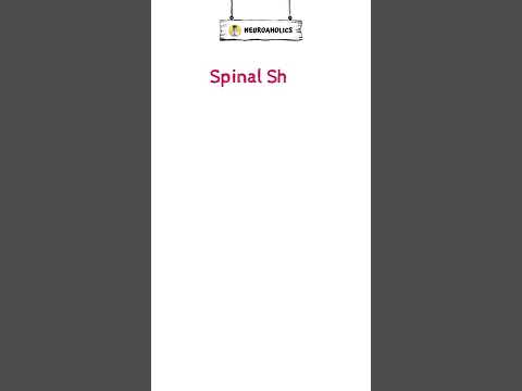 Compressive myelopathy: spinal shock #shorts #short